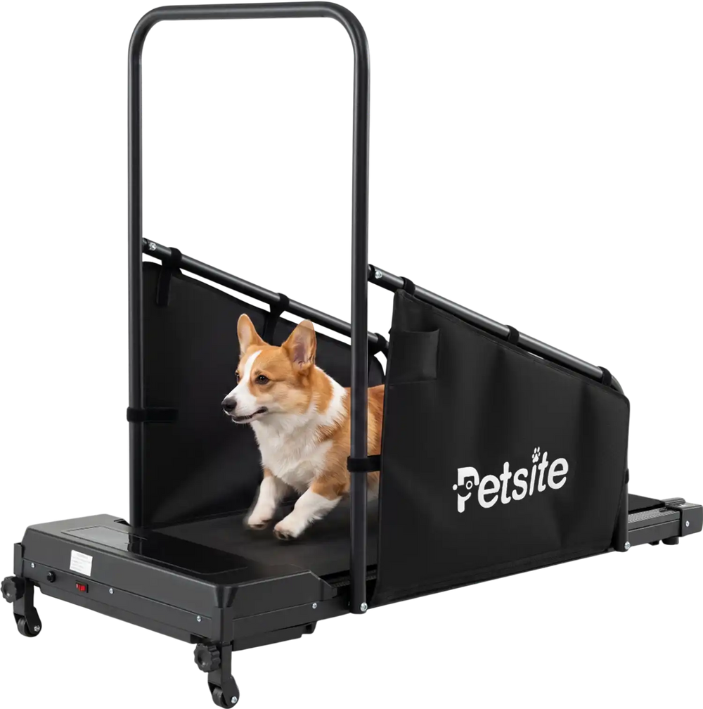 Dog treadmill with remote control features an anti-slip belt and LCD display, ideal for small and medium dogs' exercise.