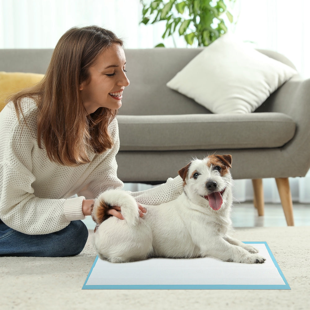 Dog and puppy pee pads 24" x 17" in use, featuring a 5-layer design for maximum absorption and leak protection.