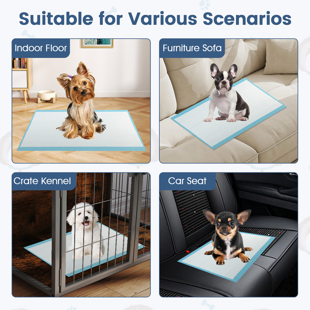 Dog and puppy pee pads 24" x 17" in blue, ideal for potty training and protecting floors, sofas, and car seats.
