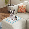 Dog pee pads 18" x 13" in blue, featuring a 5-layer design for maximum absorption and leak protection, ideal for potty.