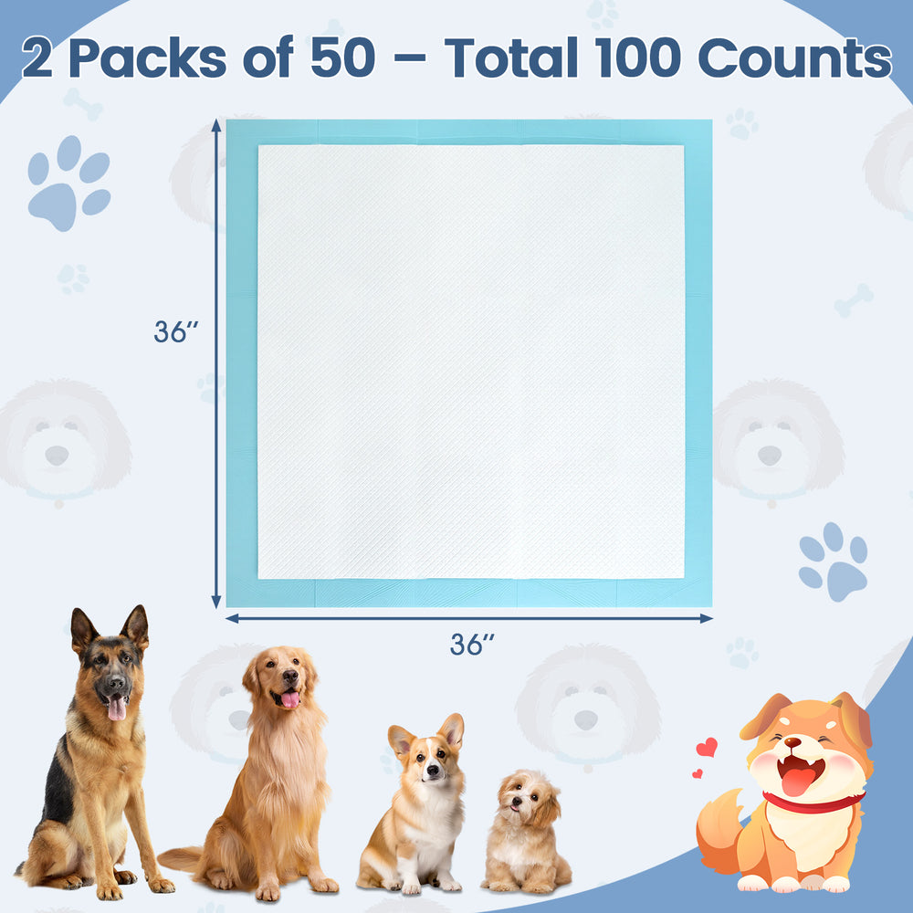 Dog and puppy pee pads 36" x 36", 100 counts total, designed for potty training with maximum absorption and leak.