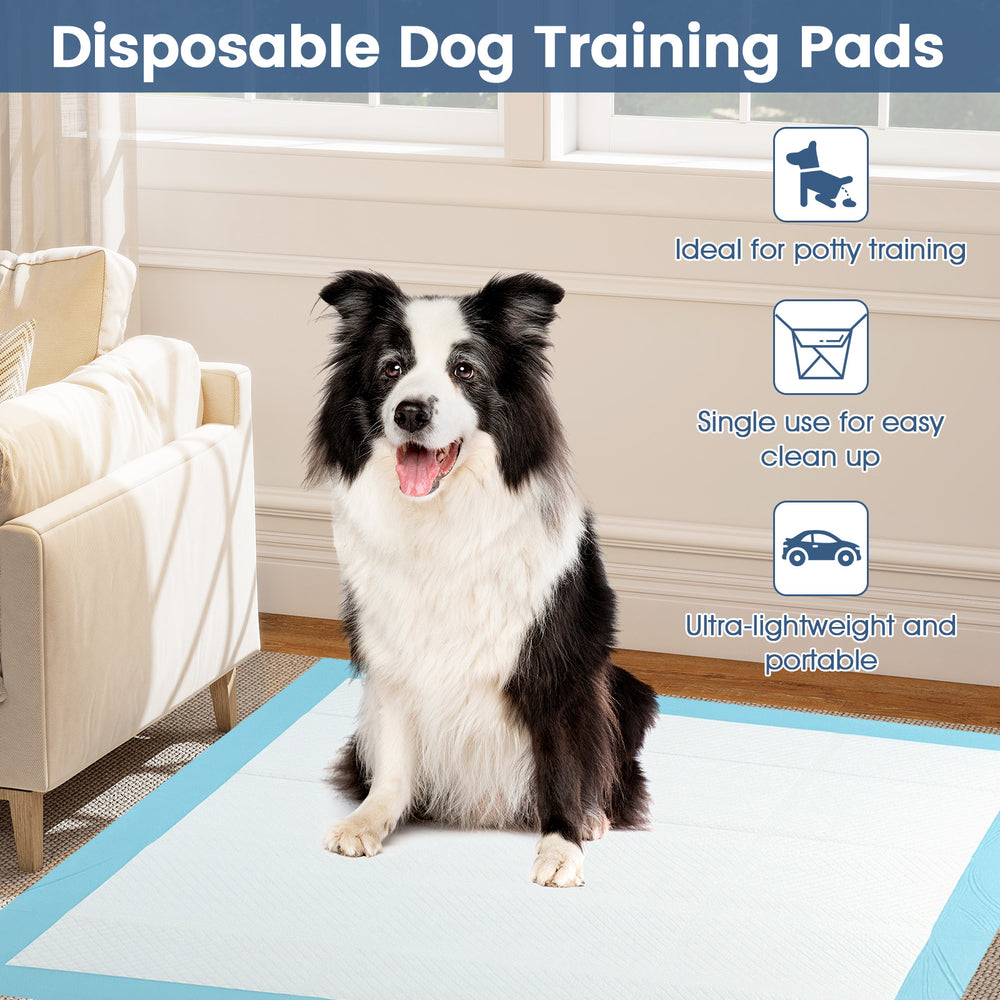 Dog and puppy pee pads, 36" x 36", blue, featuring 5-layer design for maximum absorption and easy clean-up.