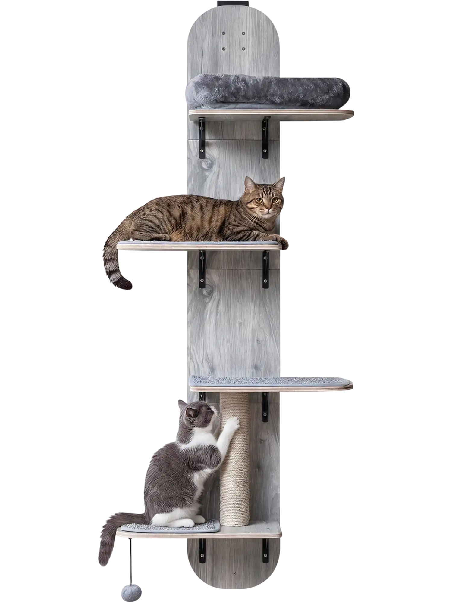 Costway Door Hanging Cat Climber 4-Level Height Adjustable Plush Bed 27490382 New