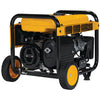 Dewalt DXGNR4000 4000W/4500W Generator with Auto Idle CO Protect CARB New