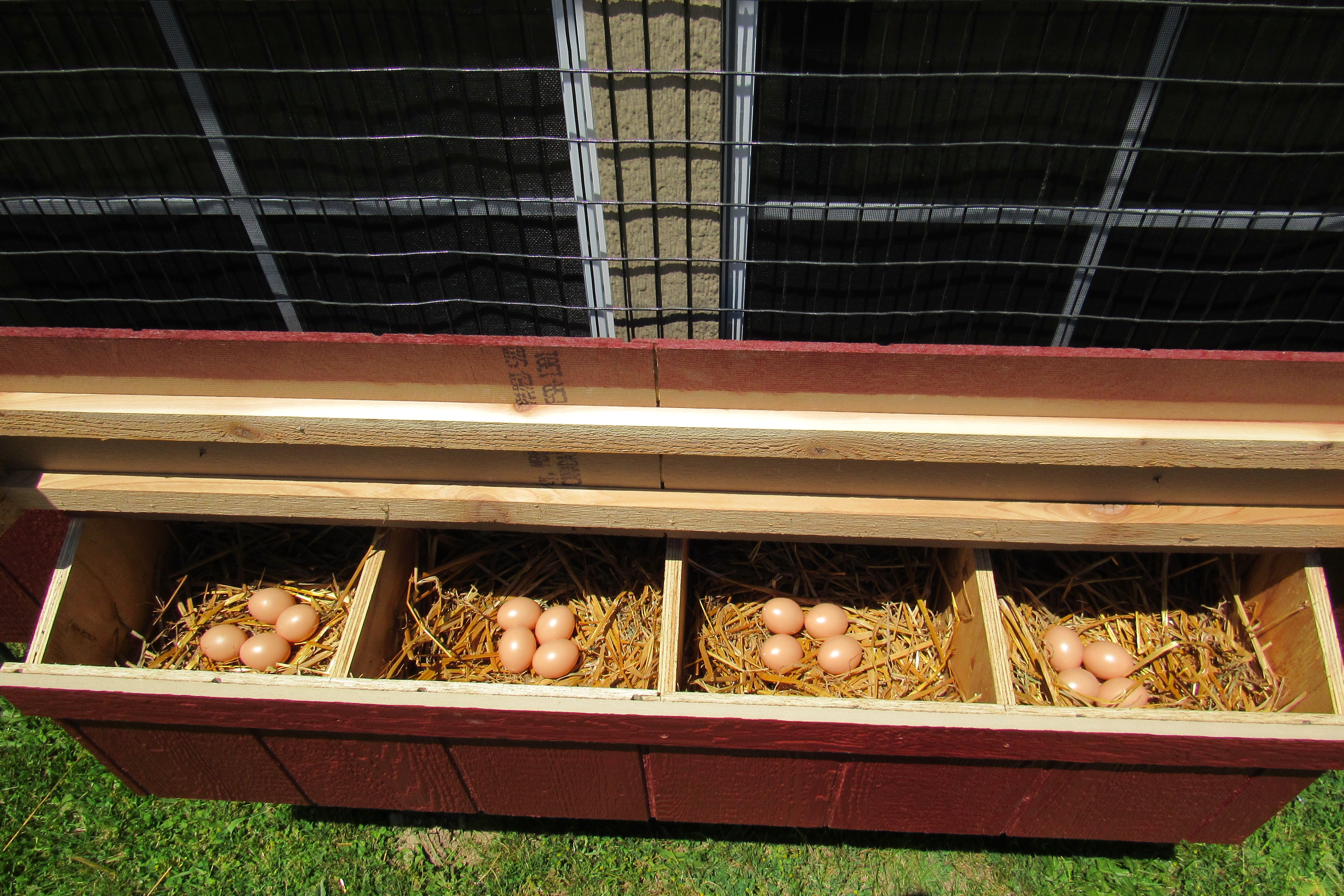EZ-FIT Chicken Coop Kit 5' x 8' for 18–22 Chickens with