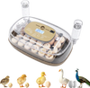 Egg incubator with temperature and humidity control, holding 21 chicken eggs and featuring an automatic egg turning tray.