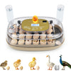 Egg incubator with temperature and humidity control, holding 21 chicken eggs for optimal hatching in various settings.