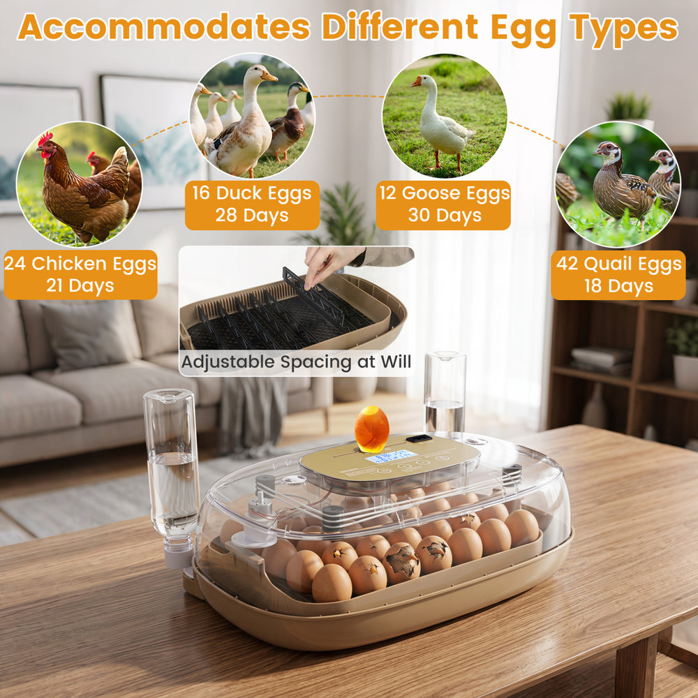Egg incubator with temperature and humidity control, holding 21 chicken eggs, 16 duck eggs, or 42 quail eggs for versatile use.