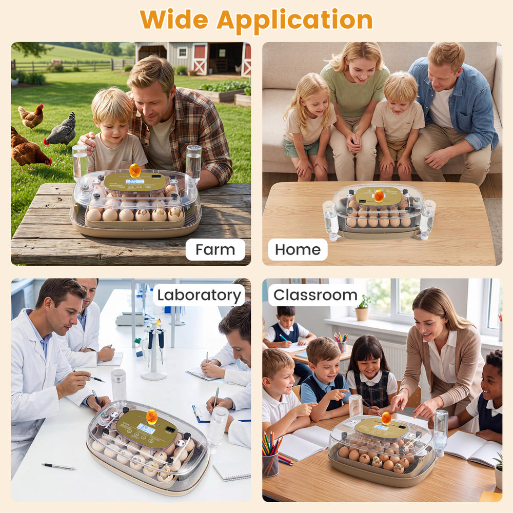 Egg incubator with temperature and humidity control, holding 21 chicken eggs, suitable for home, farm, or classroom use.