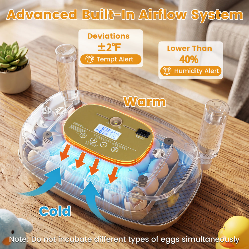 Egg incubator with temperature and humidity control, holding 21 chicken eggs, featuring an advanced airflow system.