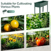 Elevated metal raised garden bed in green, ideal for growing fruits, herbs, flowers, and vegetables with drainage holes.