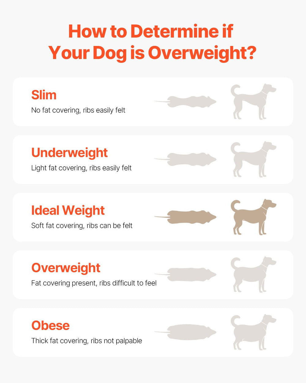 Vevor Dog Treadmill for Large Dogs 17.5" Wide Track Non-Electric Indoor 220 Lbs Capacity New