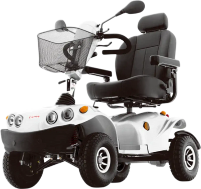 Freerider FR GDX Mobility Scooter 4-Wheel 9 MPH 30 Mile Range 79Ah New