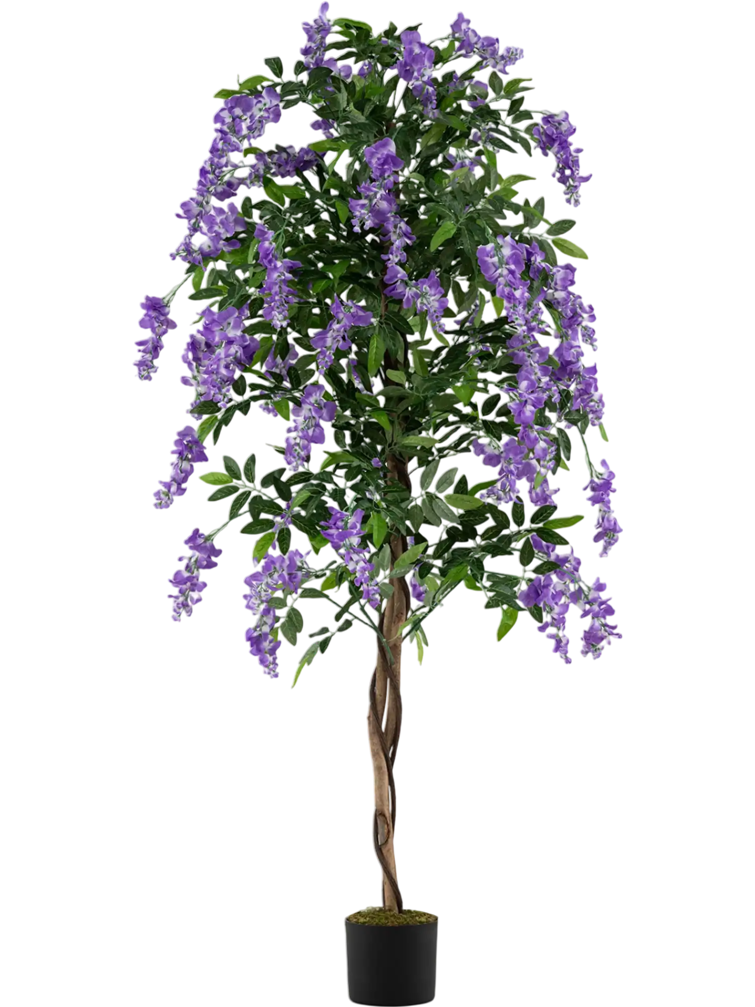 Costway 6' Artificial Ficus Wisteria Tree Purple Flowers Natural Trunks 68072729 New