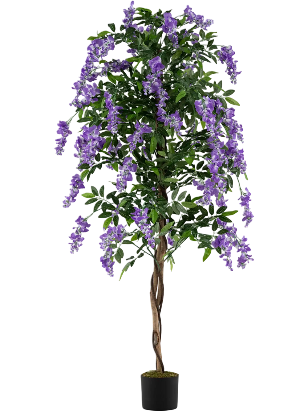 Artificial 6 FT wisteria tree with purple flowers and natural trunks, perfect for home or office decor year-round.