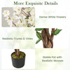 Faux plum blossom plant featuring dense white flowers, realistic trunks, and a stable pot with moss for elegant decor.