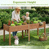 Fir wood outdoor raised garden bed with a comfortable 30" height, featuring a divider panel and drainage holes for plant care.