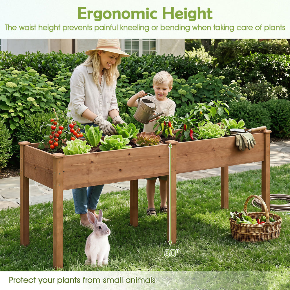 Fir wood outdoor raised garden bed with a comfortable 30" height, featuring a divider panel and drainage holes for plant care.