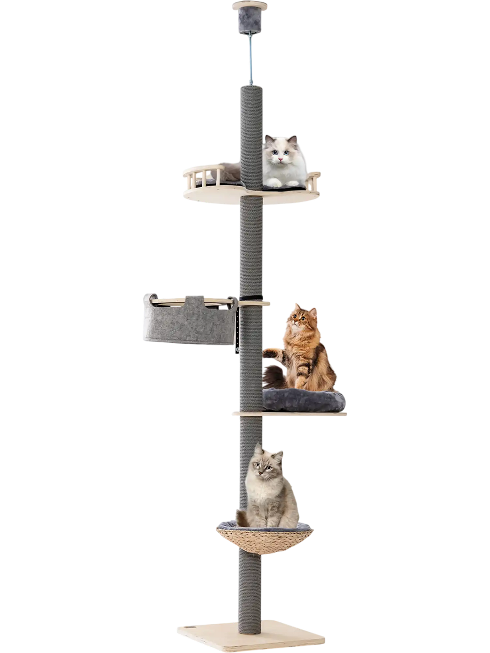 Tall gray floor-to-ceiling cat tree with adjustable height, featuring hammocks and scratching posts for playful cats.