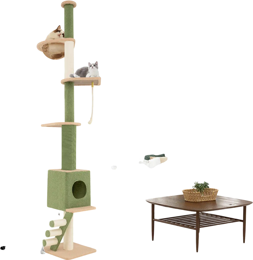 Three cats enjoying the green floor-to-ceiling cat tree with cozy condo, climbing ladder, and scratching posts for fun.