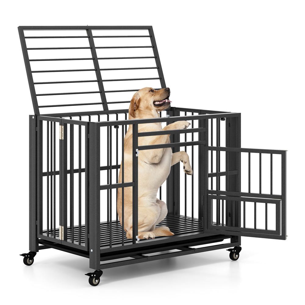 Heavy-duty metal dog cage with lockable doors and wheels, designed for medium and small dogs, ideal for secure.
