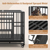 Foldable heavy-duty metal dog cage with chew-proof design, featuring lockable doors and universal wheels for easy.