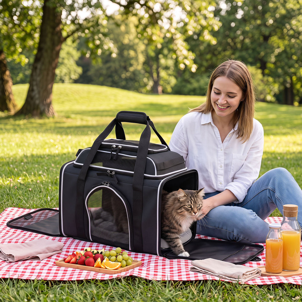 Foldable pet carrier with wheels, featuring breathable mesh windows and a comfortable space for small pets outdoors.