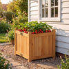Folding square fir wood raised garden bed with strawberries, featuring a removable bottom for drainage and ventilation.