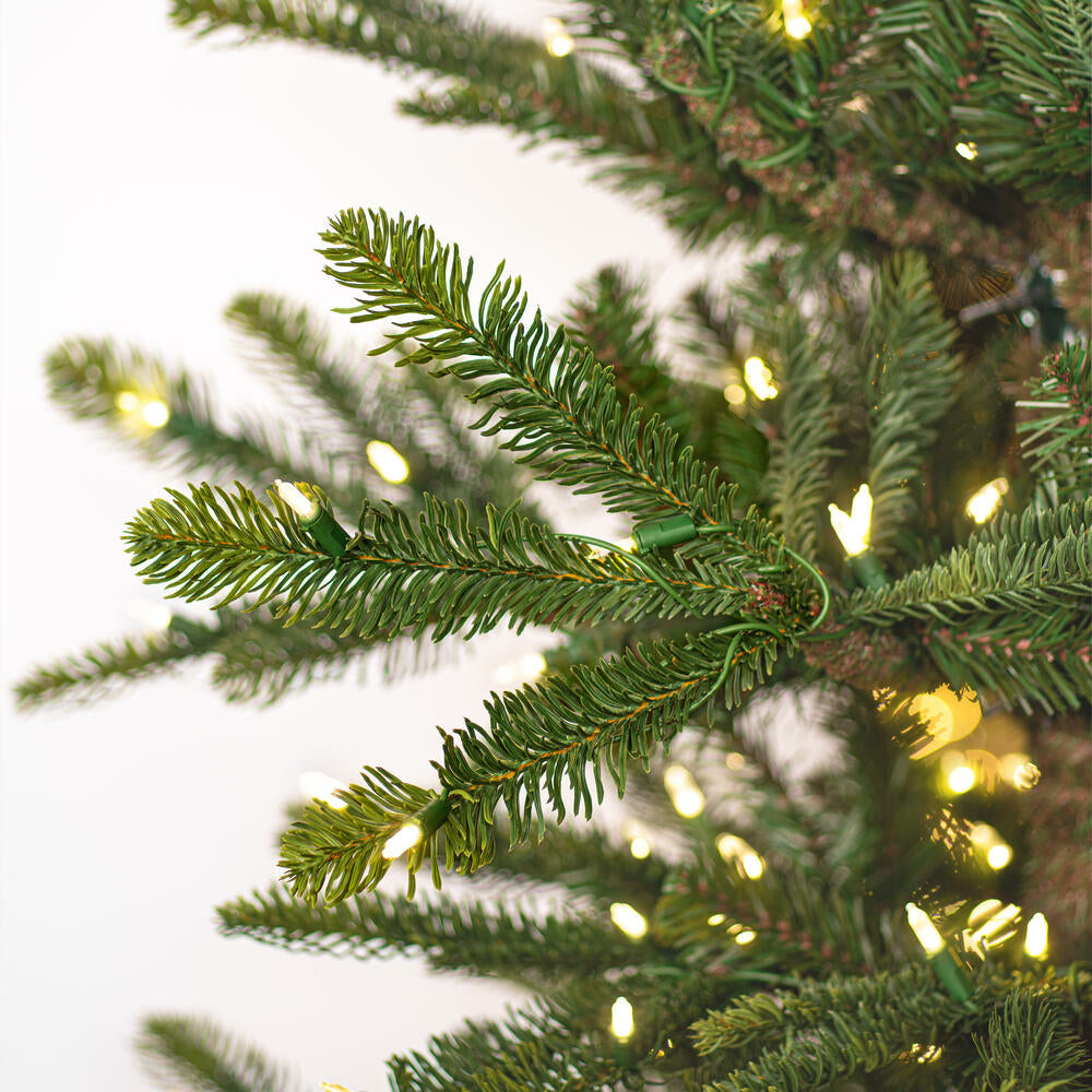 Vickerman Alberta Spruce Artificial Christmas Tree 6' x 48" Warm White LED Lights New