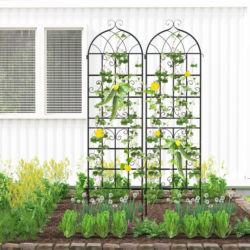 Two 71" metal garden trellises with a vine design, providing support for climbing plants in an outdoor garden setting.