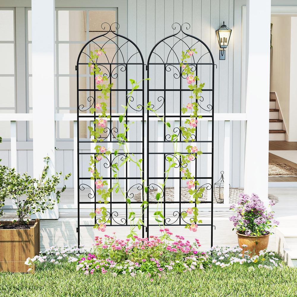 Metal garden trellis set with elegant vine design, perfect for supporting climbing plants in outdoor settings.