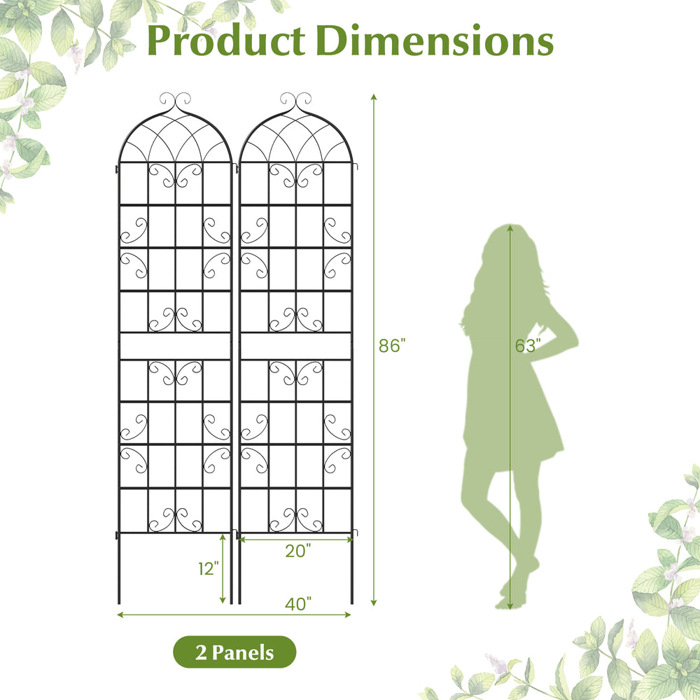 Metal garden trellis dimensions showing 86" x 20" design, ideal for supporting climbing plants in outdoor settings.