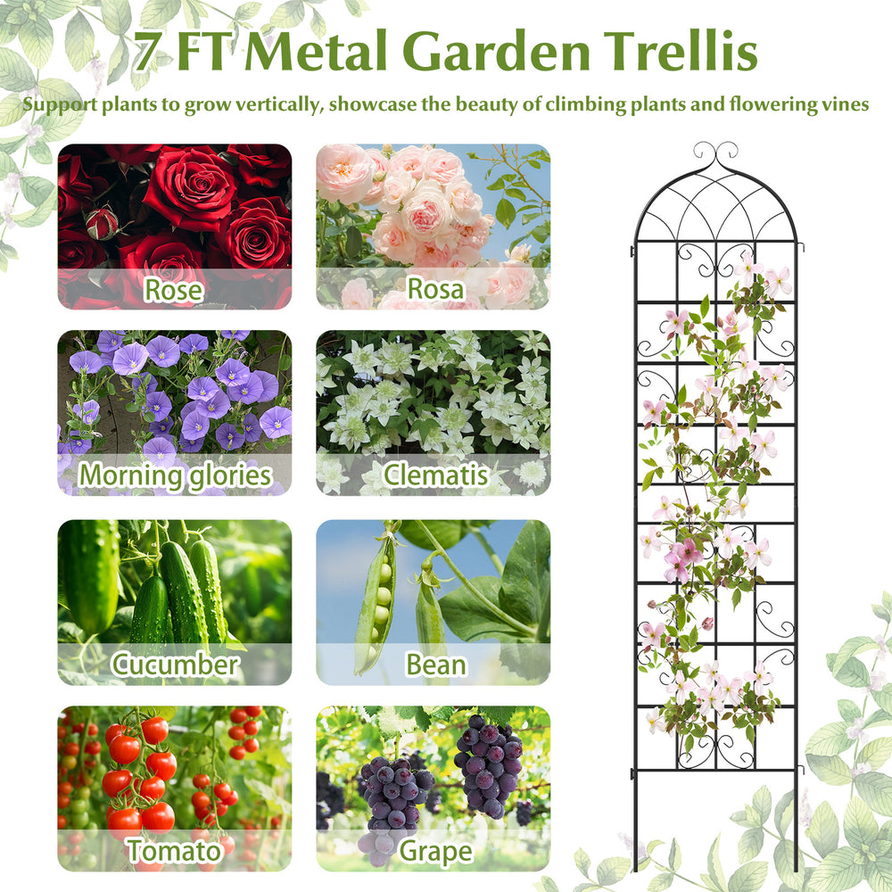 Metal garden trellis for climbing plants, 86" x 20", sturdy rustproof design, ideal for patios and gardens.