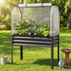 Galvanized raised garden bed with greenhouse cover, ideal for vegetables and flowers, elevated for comfortable.