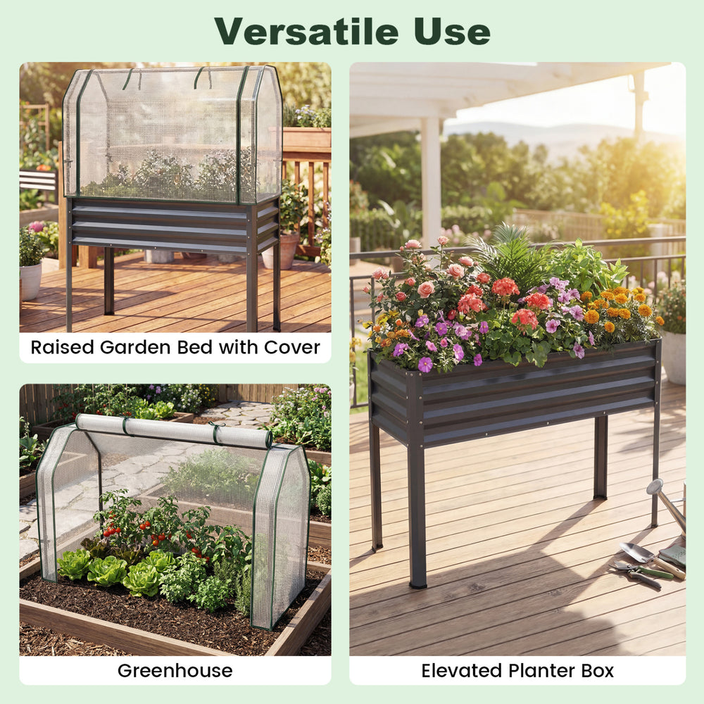 Galvanized raised garden bed with greenhouse cover, featuring legs for easy access and weatherproof protection for.