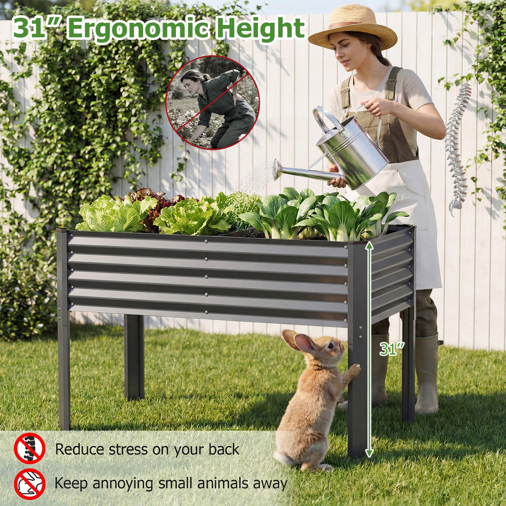 Galvanized raised garden bed with legs, 31" ergonomic height, suitable for various plants, ideal for easy gardening.