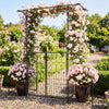 Garden arbor with gate and planter boxes, featuring a heavy-duty metal arch and climbing trellis for vibrant flowers.