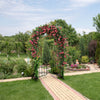 Garden arch arbor trellis with gate in black, featuring climbing plant support and elegant design for outdoor spaces.