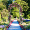 Garden arch trellis with pink flowers, featuring a PE coated metal structure for climbing plants and easy assembly.
