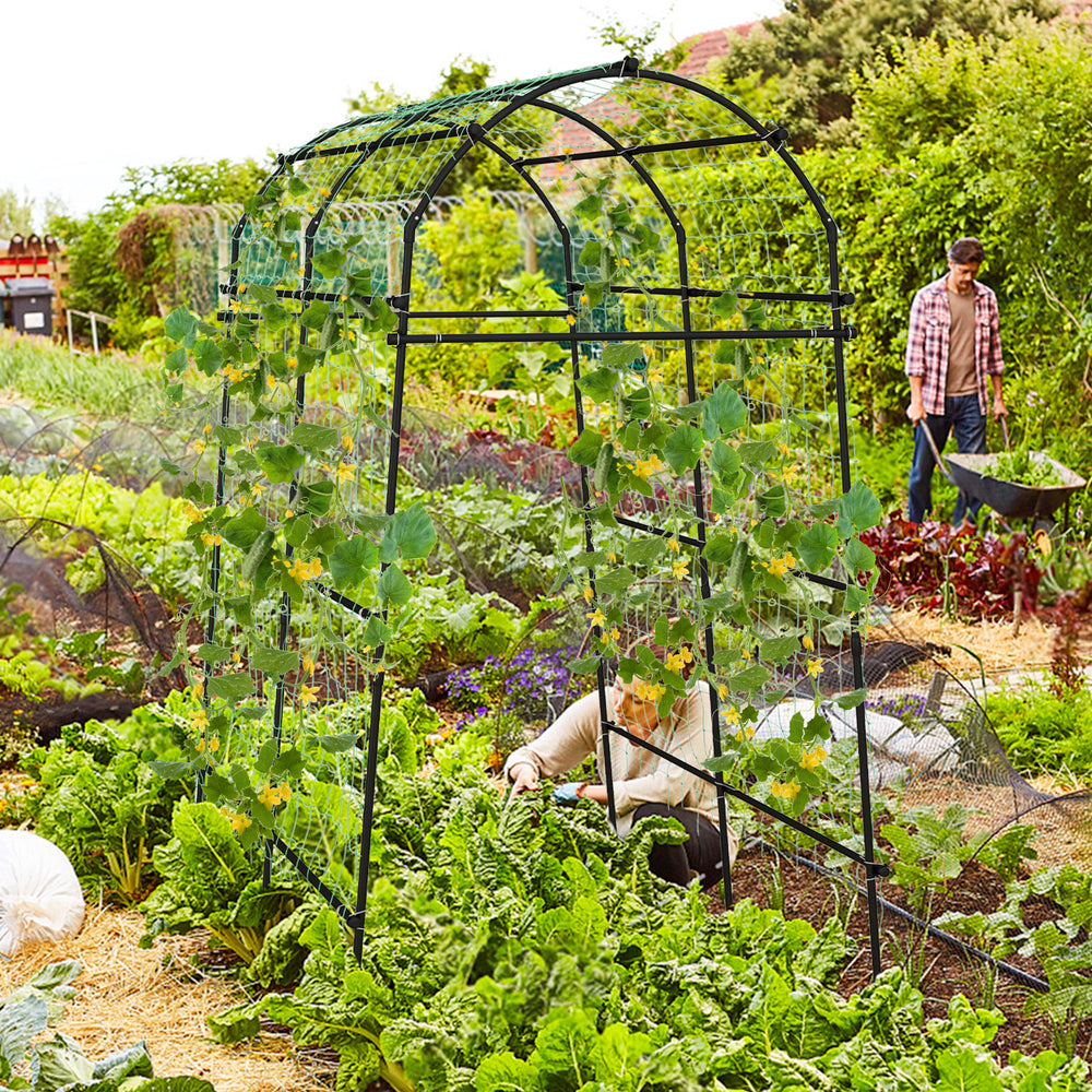 Large 7.5 feet garden arch trellis with PE coated metal structure, ideal for climbing plants in a vibrant garden.