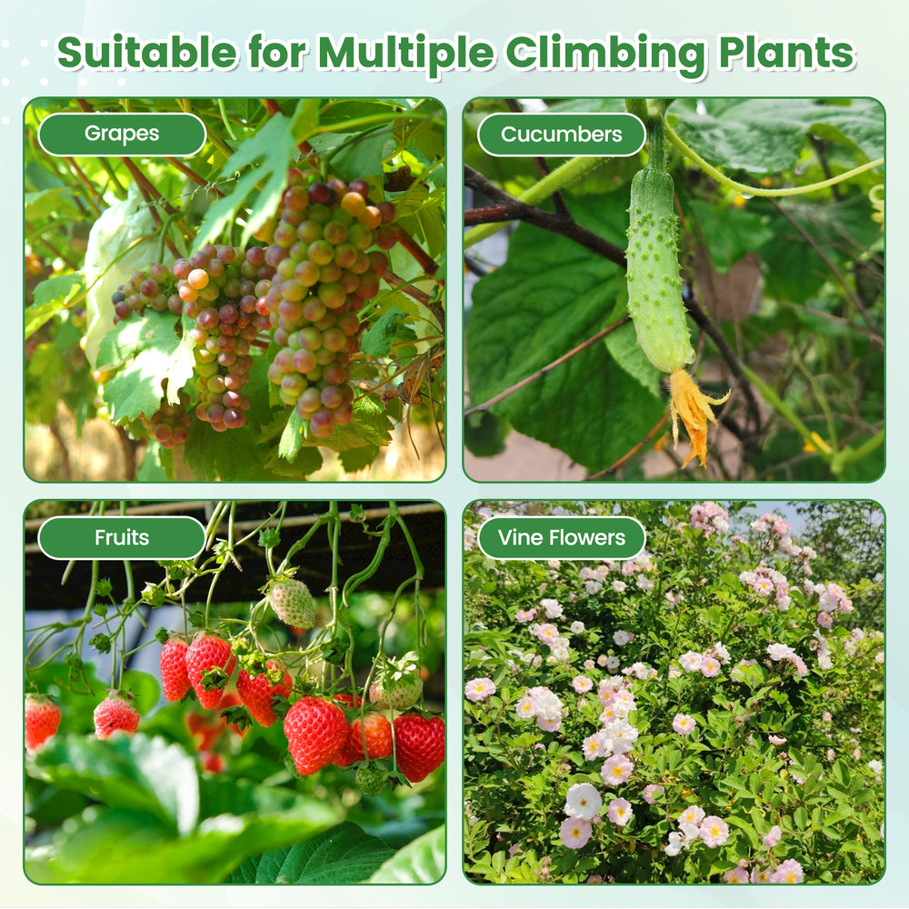 Large garden arch trellis for climbing plants, featuring a PE coated metal structure and anti-rust technology.