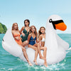 Giant inflatable swan pool float for 4 adults, featuring 4 cup holders, ideal for beach parties and sunbathing.