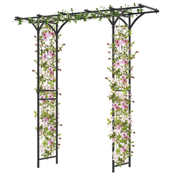 Elegant garden arbor with arched design and side trellises for climbing plants, ideal for outdoor use and decoration.