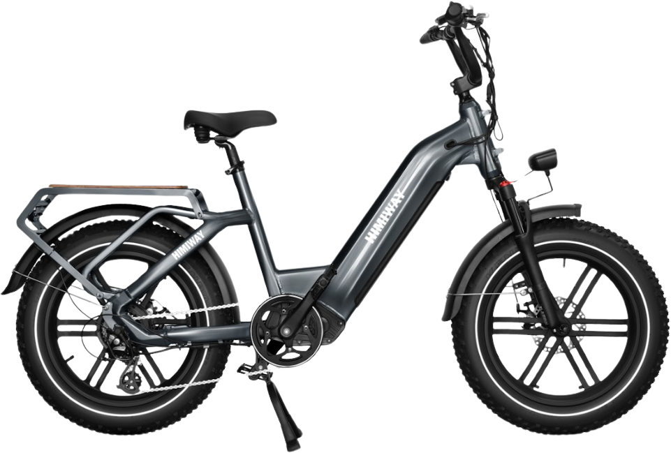 Himiway Big Dog Cargo Electric Bicycle 48V 750W 20 MPH 20