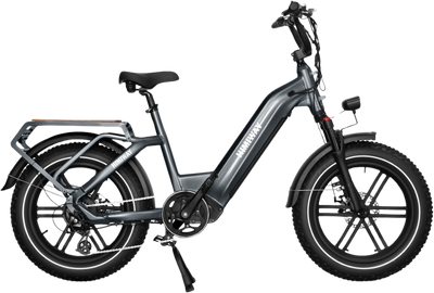 Himiway Big Dog Cargo Electric Bicycle 48V 750W 20 MPH 20