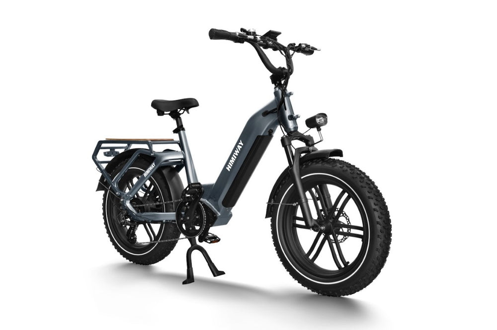 Himiway Big Dog Cargo Electric Bicycle 48V 750W 20 MPH 20" Fat Tire New