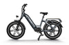 Himiway Big Dog Cargo Electric Bicycle 48V 750W 20 MPH 20" Fat Tire New