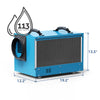 AlorAir HD55 Sentinel Basement/Crawlspace Dehumidifier 53 Pints Auto Defrost Blue New