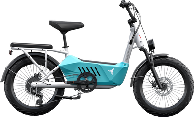Himiway C3 Cargo Electric Bicycle 48V 750W 20 MPH Torque Sensor 20