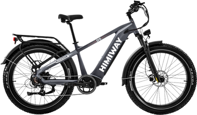 Himiway Zebra D5 Electric Bicycle 48V 750W 20 MPH Torque Sensor 26